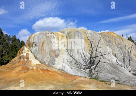 Orange Spring Mound, Mammoth Hot Springs, Yellowstone-Nationalpark, USA Stockfoto