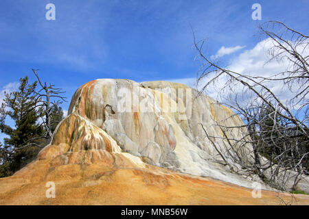 Orange Spring Mound, Mammoth Hot Springs, Yellowstone-Nationalpark, USA Stockfoto