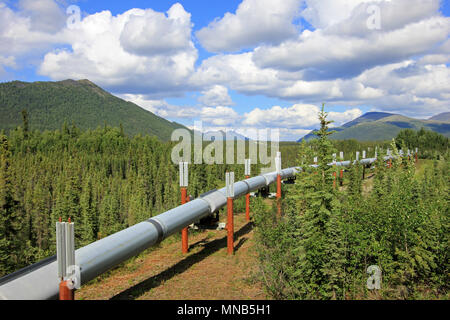 Öl Pipeline entlang Dalton Highway, von Valdez, Fairbanks nach Prudhoe Bay, Alaska, USA führenden Stockfoto