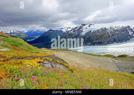 Ausfahrt Glacier, Harding Eisfeld, Kenai Fjords National Park, Alaska Stockfoto