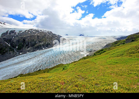 Ausfahrt Glacier, Harding Eisfeld, Kenai Fjords National Park, Alaska Stockfoto