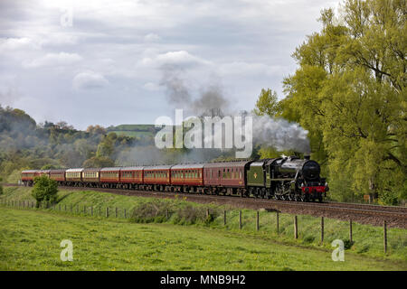 Die Kathedralen Express Dämpfen durch Claverton Tal Stockfoto