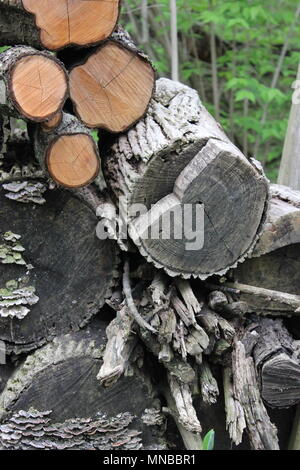 Interessante outdoor Haufen Brennholz mit viel mit unterschiedlichem Grad der Trockenheit. Stockfoto