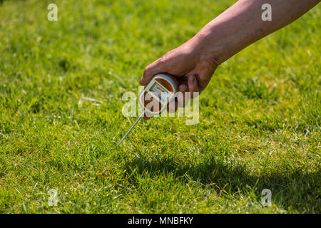 Prüfung der Boden mit einem pH-Tester den Säuregehalt des Bodens in einem Garten Rasen zu prüfen. Stockfoto