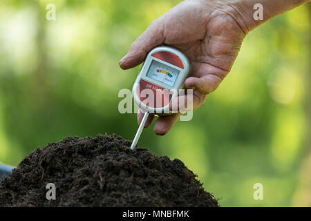 Prüfung Boden mit einem pH-Tester des Säuregehalts der Garten Kompost zu prüfen. Stockfoto