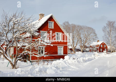 Schwedische rot zwei storeywooden Einfamilienhäuser hinter einem Verschneiten Baum neben dem Schnee Straße im Wohngebiet im Winter Meeren aufgetaucht Stockfoto