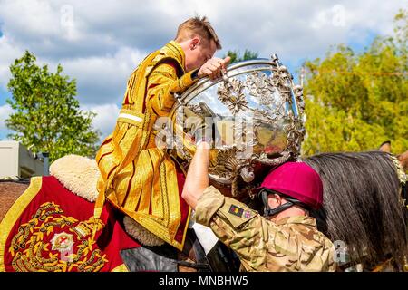 Tag 2. Royal Windsor Horse Show. Windsor. Berkshire. UK. Die montierten Band der Household Cavalry. Hinter den Kulissen. Drum Pferd. 10/05/2018. Stockfoto