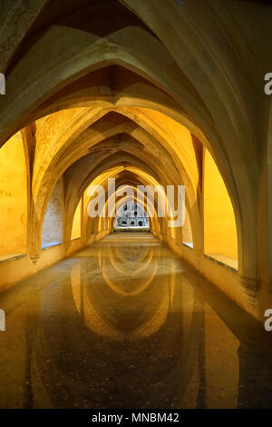 Alcázar von Sevilla: Die "Bäder von Frau María de Padilla' sind Regenwasserzisternen unter dem Patio del Crucero. Stockfoto