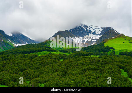 Sommer in den Kenai Bergkette bei bewölktem Himmel auf der Kenai Halbinsel in Alaska. Stockfoto