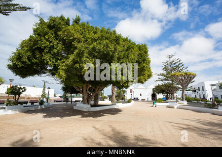 LANZAROTE, KANARISCHE INSELN, SPANIEN, EUROPA: Die friedliche Plaza de San Roque in Tinajo. Stockfoto