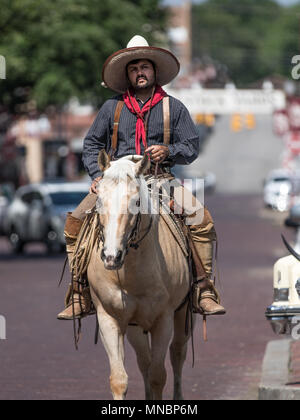 Vaquero Reiten Longhorn Rinder Zusammenfassung Stockfoto