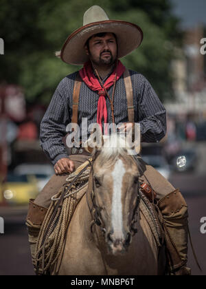 Vaquero Reiten Longhorn Rinder Zusammenfassung Stockfoto