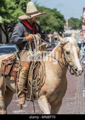 Vaquero Reiten Longhorn Rinder Zusammenfassung Stockfoto