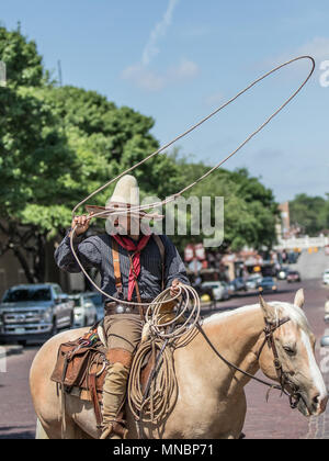 Vaquero Reiten Longhorn Rinder Zusammenfassung Stockfoto