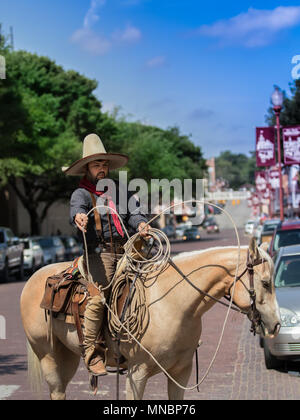 Vaquero Reiten Longhorn Rinder Zusammenfassung Stockfoto