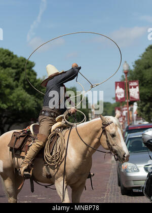 Vaquero Reiten Longhorn Rinder Zusammenfassung Stockfoto