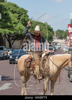 Vaquero Reiten Longhorn Rinder Zusammenfassung Stockfoto