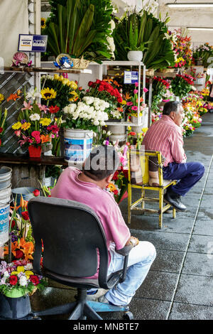 Mexiko-Stadt, Hispanic, Mexikaner, Alvaro Obregon San Angel, Blumenmarkt Mercado de Flores, Blumenhändler, Blumenstrauß, Blumenarrangement, Verkäufer V Stockfoto