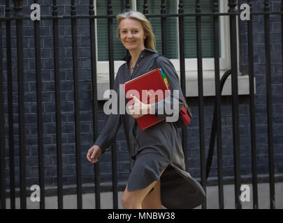 Chief Secretary, Schatzamt der Rt Hon Elizabeth Truss MP kommt für die wöchentliche Kabinettssitzung am 10 Downing Street in London. Stockfoto