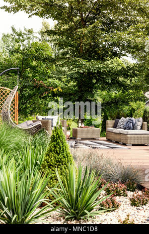 Pflanzen und Sträucher in einem sonnigen Hinterhof einer Herberge mit Gartenmöbeln im Hintergrund