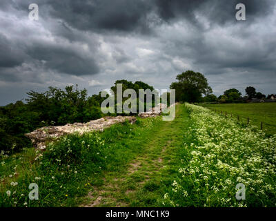 Nordwand an Silchester, die römische Stadt in Hampshire, Großbritannien Stockfoto