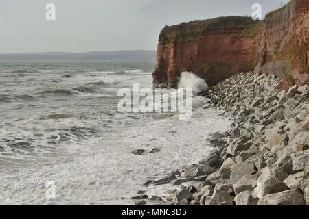 Rock Rüstung schützen die Basis des roten Sandsteinfelsen aus der rauen See am Hollicombe Beach. Stockfoto