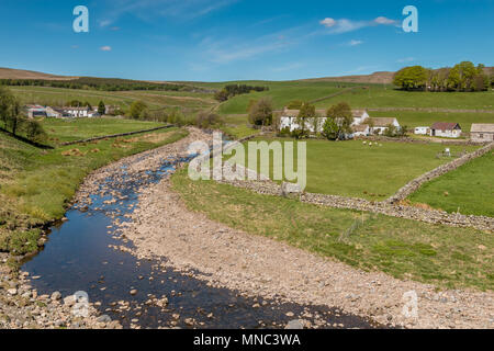 North Pennines Landschaft, weiß getünchte Bauernhöfe und Harwood Beck in der Nähe von Langdon Beck, Obere Teesdale, Großbritannien Stockfoto