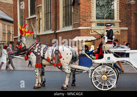 Traditionelle Pferdekutschen auf dem Marktplatz von Krakau. Polen Stockfoto