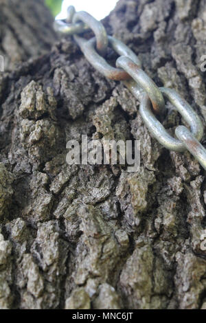 Gehackte Holz im Garten sitzen. Als abstraktes Foto genommen. Linien der Definition und Tiefe. Brennholz Flor. Die direkte Beleuchtung sitzen auf dem Stapel. Stockfoto