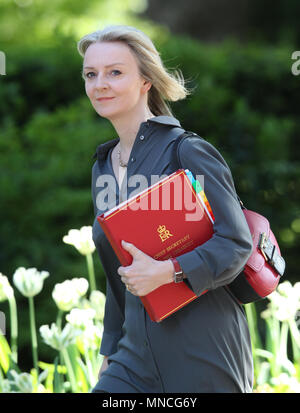 London, UK, 15. Mai 2018. Elizabeth Truss, Chief Secretary, Schatzamt kommt zur Downing Street für die wöchentliche Kabinettssitzung Stockfoto