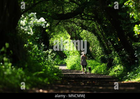 Schönen Wanderweg in Swillington, Leeds Stockfoto