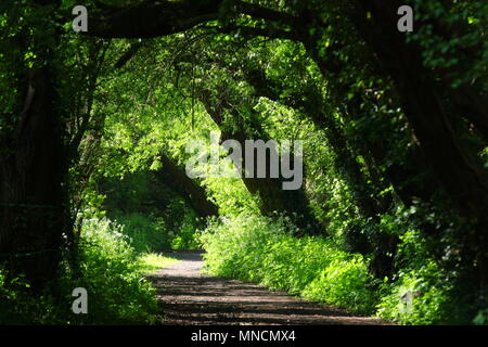 Schönen Wanderweg in Swillington, Leeds Stockfoto