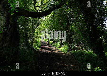 Schönen Wanderweg in Swillington, Leeds Stockfoto