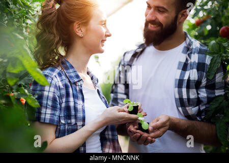 Junges Paar der Landwirte arbeiten im Gewächshaus Stockfoto