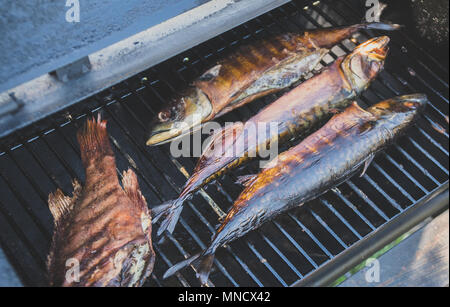 Geräucherter Fisch in der Räucherkammer. Drei Sardinen und Wolfsbarsch. Stockfoto