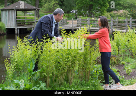 Florist Philippa Craddock und Hüter der Gärten im Windsor Great Park John Anderson, Auswahl von Pflanzen aus den Savill Garden in der Blumenschmuck im St George's Chapel, Windsor für die Hochzeit von Prinz Harry und Meghan Markle verwendet werden. Stockfoto