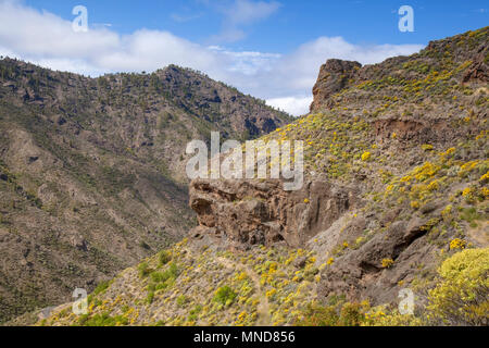 Gran Canaria, Mai, Bergen des zentralen Teils der Insel Stockfoto