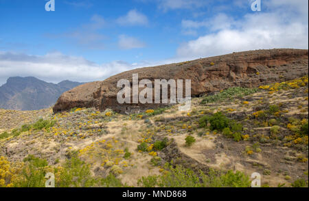 Gran Canaria, Mai, Bergen des zentralen Teils der Insel, natürliche Höhlen, die in der Landwirtschaft verwendet, El Toscon Bereich Stockfoto