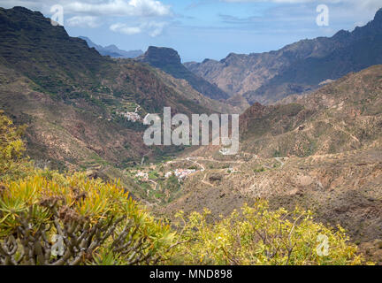 Gran Canaria, Mai, Bergen des zentralen Teils der Insel, Blick hinunter Tal Barranco de Tejeda Stockfoto