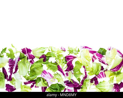 Horizontale Grenze von Grün und Violett Radicchio, Eisberg, Endivie und Salat Salat Blätter Draufsicht isoliert auf weißem Stockfoto