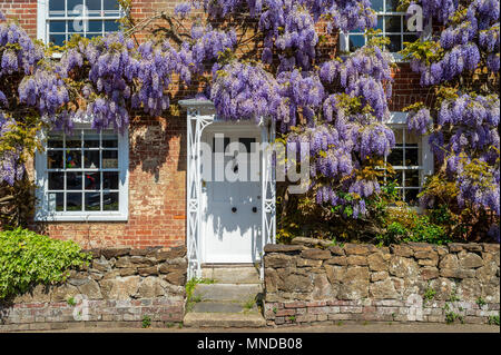 Wisteria in der Blüte um eine Hütte Tür und Fenster, UK. Stockfoto