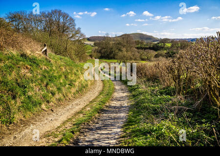 Ruhige britische Landschaft - Wicklung Lane zu Cley Hill in Wiltshire, Stockfoto