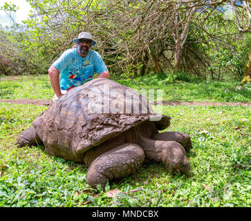 Mann mit Galapagos Riesenschildkröte Chelonoidis nigra auf der Insel Santa Cruz Stockfoto