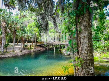 Gemini Springs Park n DeBary Volusia County Florida Central Florida Stockfoto