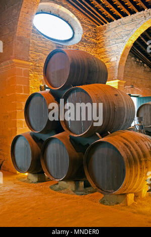 Fässer oder Fässer voller Wein werden angezeigt und bereit zu genießen. Stockfoto