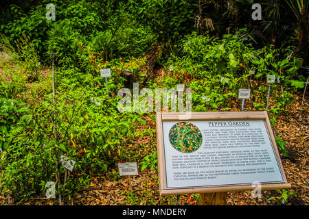 Kanapaha Botanischen Gärten in Gainesville Florida Stockfoto