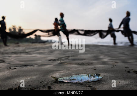 Fischer sammeln riesige Fischernetz. traditionellen Fischer am Strand, Tarkali Malvan, Sindhudurg Bezirk, Maharashtra, Indien Foto © jacopo Emma/Sin Stockfoto