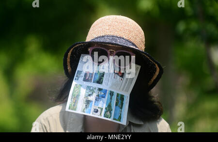 Yangzhou, China Jiangsu Provinz. 16 Mai, 2018. Eine Frau mit Hut und Sonnenbrille ist auf einer Straße in Yangzhou gesehen, der ostchinesischen Provinz Jiangsu, 16. Mai 2018. Heat Wave hit Jiangsu Mittwoch mit Temperaturen über 35 Grad Celsius an einigen Stellen. Credit: Meng Delong/Xinhua/Alamy leben Nachrichten Stockfoto