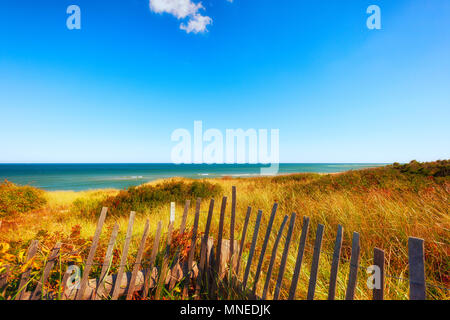 Seitlicher Meerblick von Highland light Beach auf Cape Cod in Massachusetts. Fechten Boarder das Meer Gras wachsen auf niedrigen Sanddünen, die das Auge mit dem Blei Stockfoto