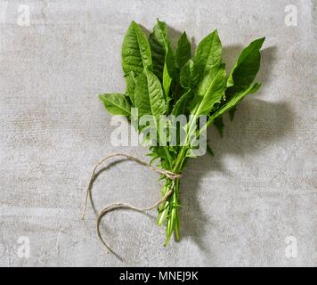 Ein Bündel von frischen löwenzahnblättern am grauen Stein Oberfläche Stockfoto